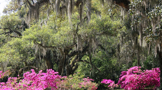 New Iberia, Louisiana