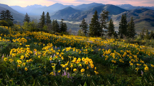 North Cascades Natl Pk, Washington
