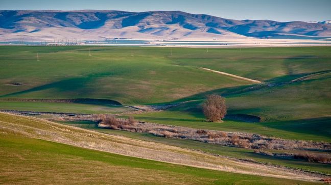 Pendleton, Oregon Hotels