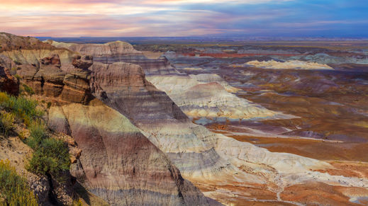 Petrified Forest Natl Pk, Arizona