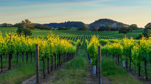 Sonoma County, California