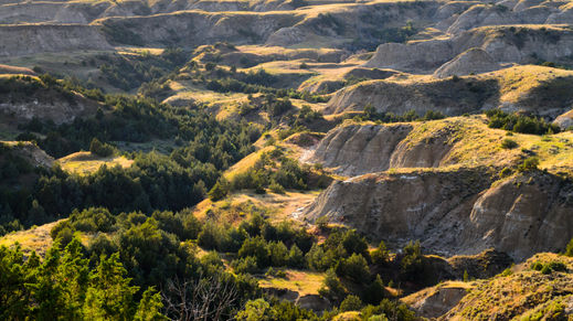 Theodore Roosevelt National Park, North Dakota
