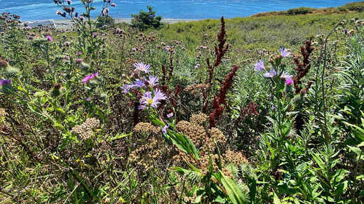 Whidbey Island, Washington