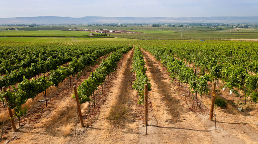 Yakima, Washington