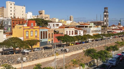 Tenerife, Tenerife Island, Canary Islands, Spain