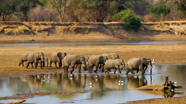 South Luangwa National Park, Zambia Hotels