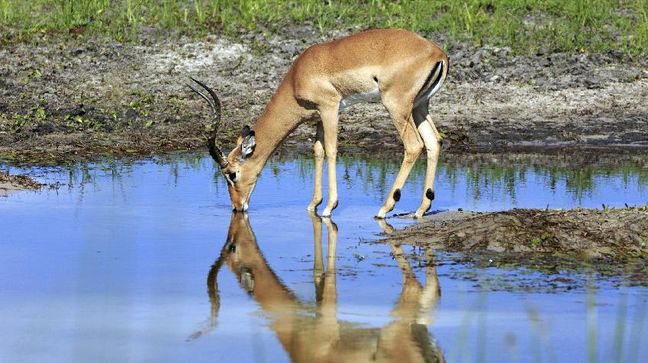 Lake Mutirikwi Game Reserve, Zimbabwe Hotels