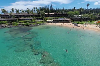 Napili Kai Beach Resort