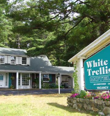 White Trellis Motel