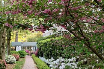 Pine Crest Inn