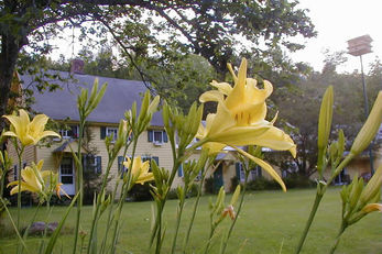 Fiddler's Green Inn