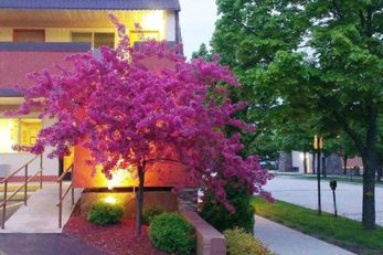Fountain Park Motel