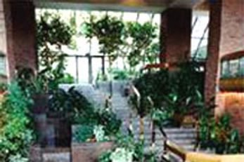 Crowne Plaza Gatineau