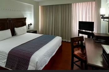 Hotel Fenix