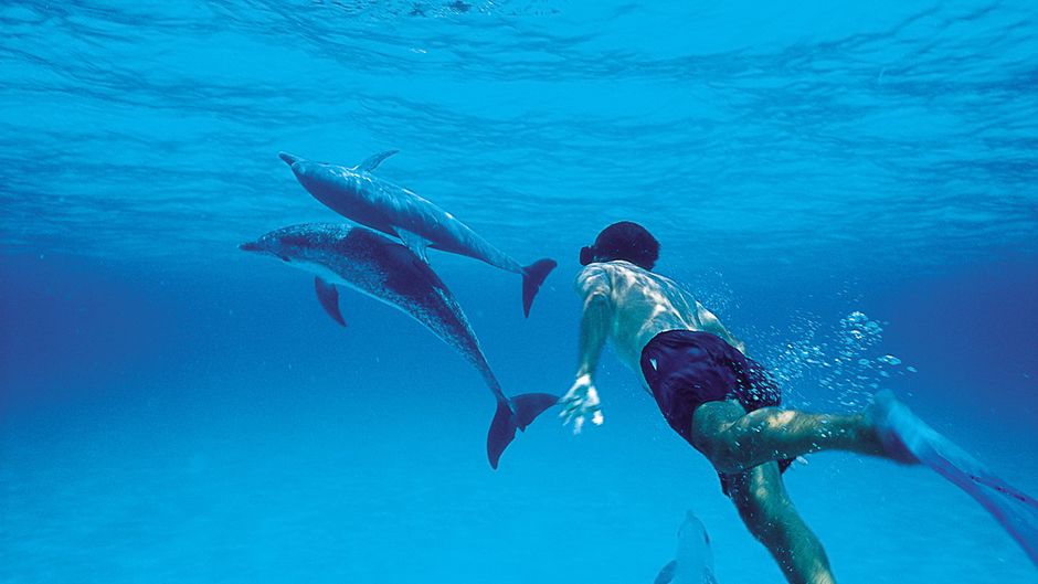 Bimini Big Game Club Resort & Marina Recreation