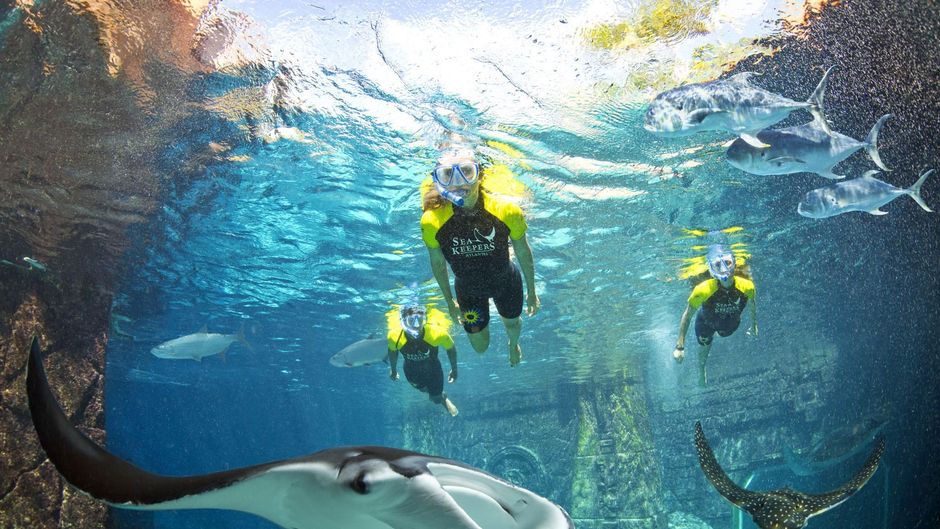 Atlantis Paradise Island Resort Recreation
