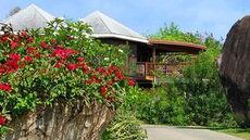 Guavaberry Spring Bay