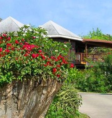 Guavaberry Spring Bay