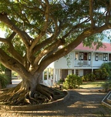 Montpelier Plantation & Beach