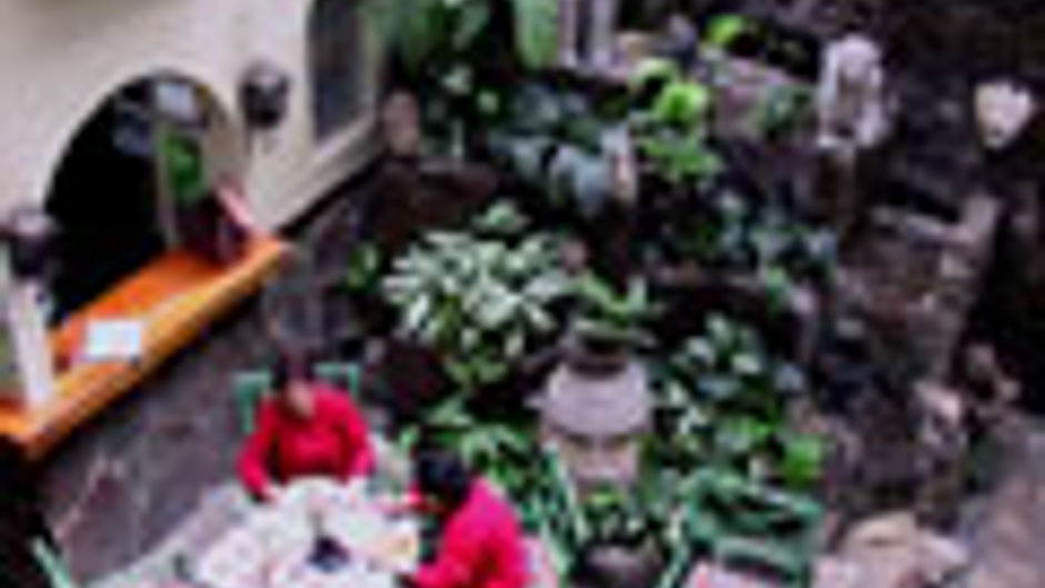 Hotel Don Carlos Restaurant