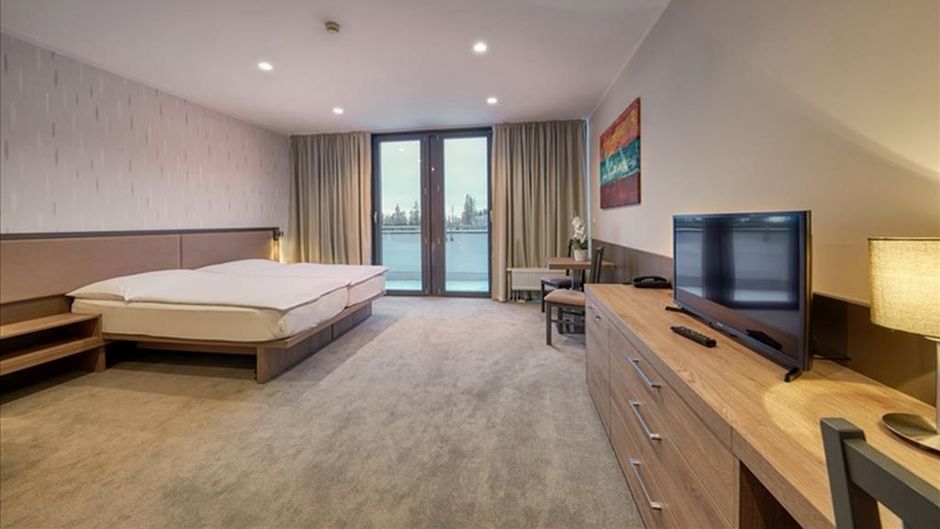 Hotel Panorama Room