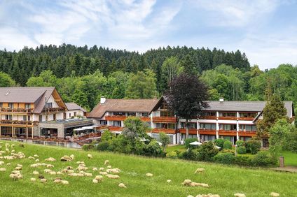 Hotel Gruener Wald
