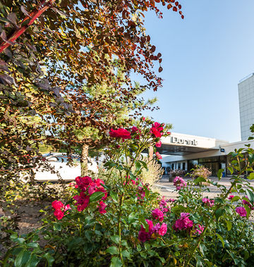 Dorint Hotel Am Main Taunus Frankfurt