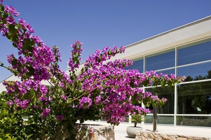 Bluesun Hotel Elaphusa