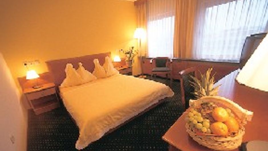 Ibis Styles Ljubljana The Fuzzy Log Room