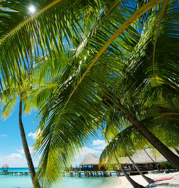 Hotel Kia Ora Resort & Spa