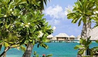 Sofitel Bora Bora Marara Beach Resort