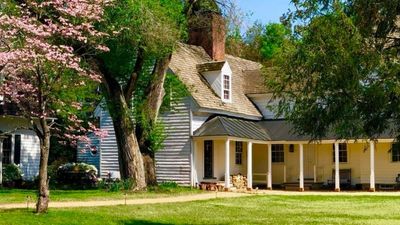 Hollymead House & Guest House