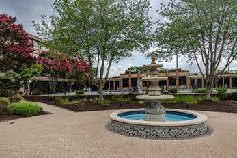 Solomons Inn Resort and Marina