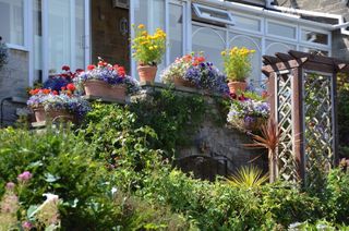 Luccombe Hall Hotel