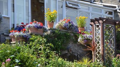 Luccombe Hall Hotel