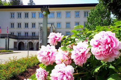 Vila Bled