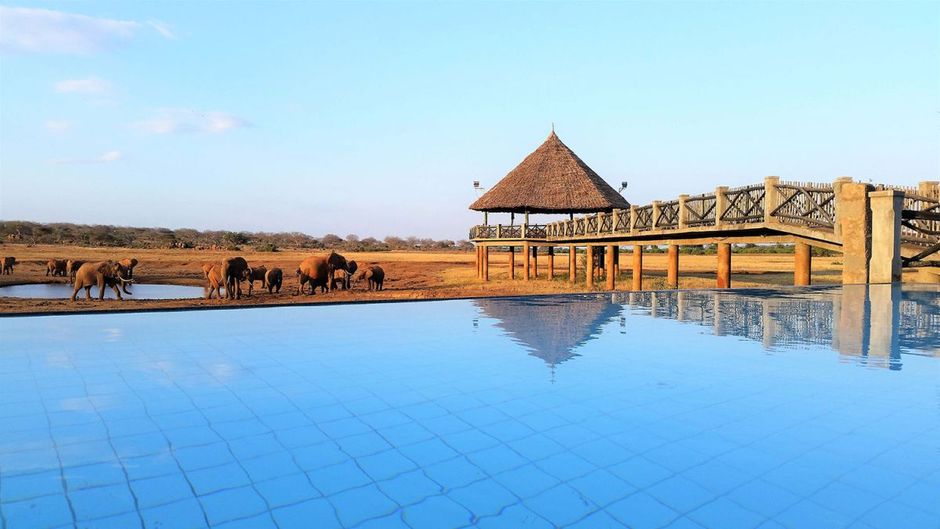 Voi Wildlife Lodge Pool