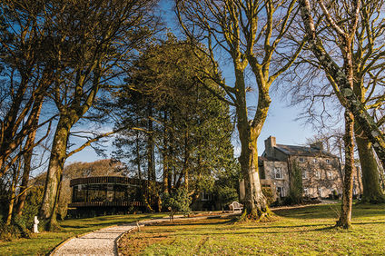 Fairyhill