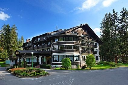Hotel Ribno