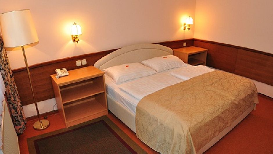 Hotel Ribno Room
