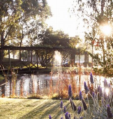 Hunter Valley Resort