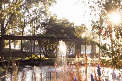 Hunter Valley Resort