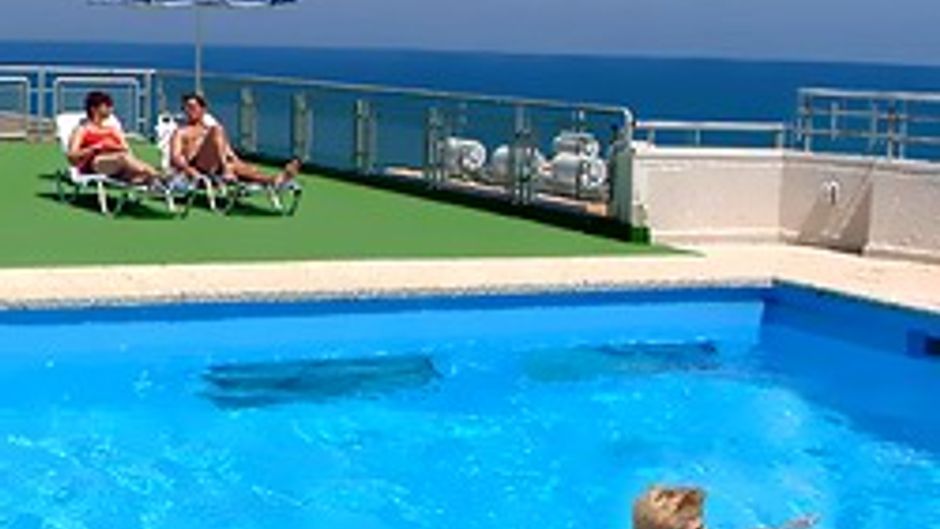 Flamingo Beach Hotel Pool