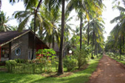 Summer Sands Beach Resort Hotel