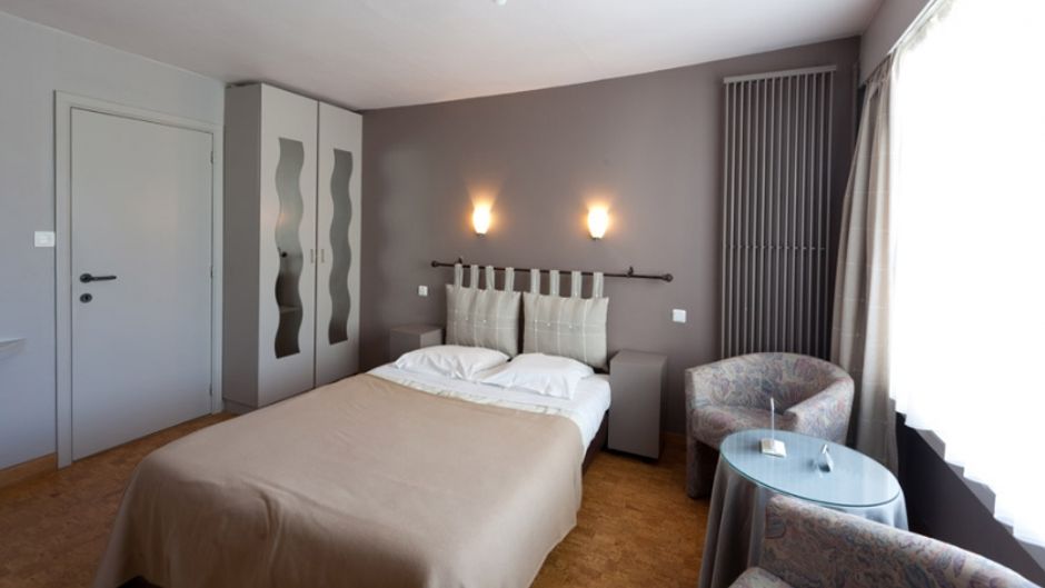 Hotel ter Zaele Room