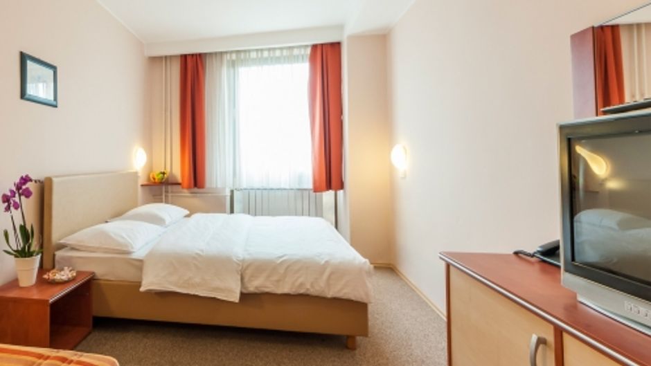 Hotel Park Room