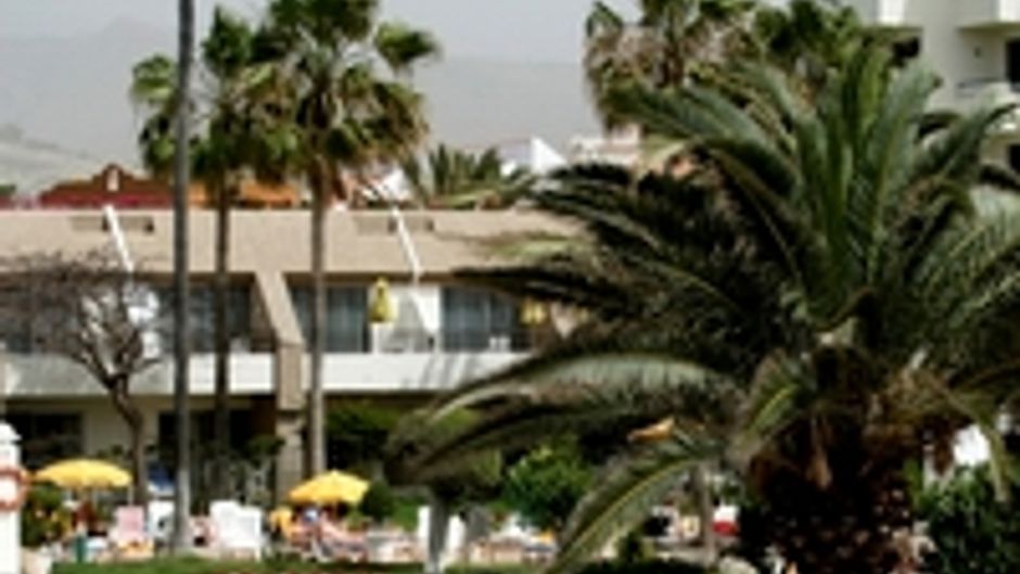 H10 Las Palmeras Pool
