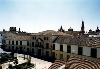 Alcazar de la Reina