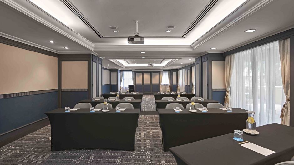 Vibe Hotel Singapore Orchard Meeting