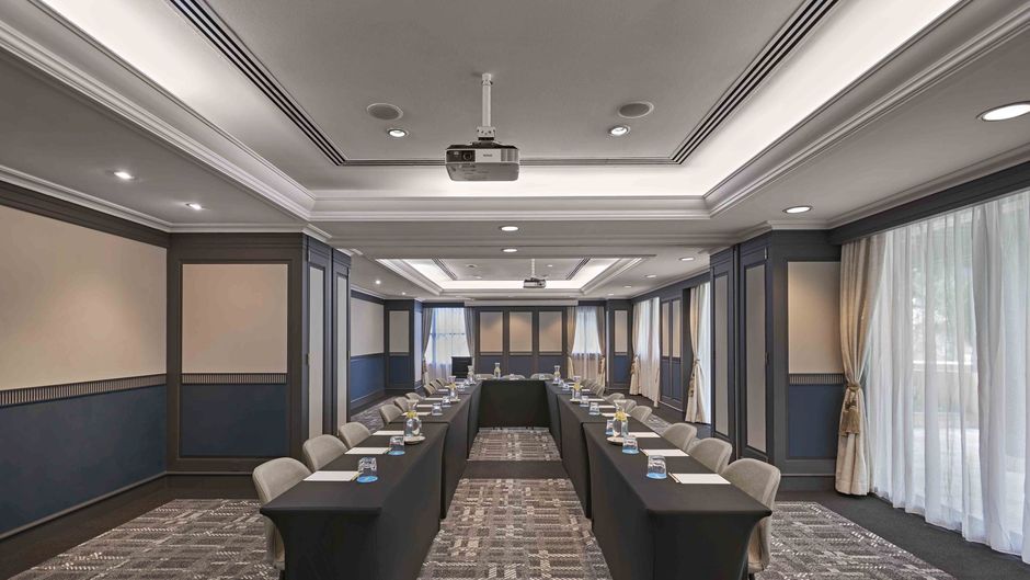 Vibe Hotel Singapore Orchard Meeting